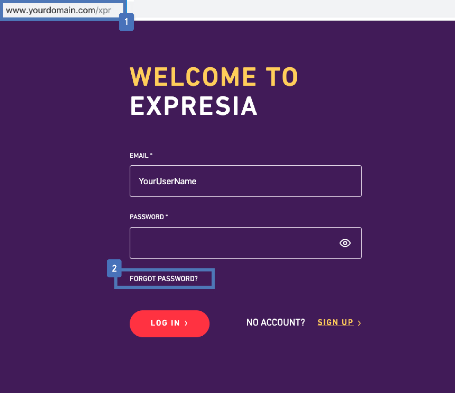 Easily Reset A Lost Password On Our Platform | Expression