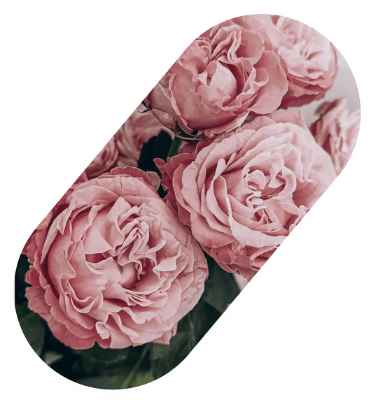 pill-sami-sacha.png Digital e-commerce platform allows online flower company to flourish